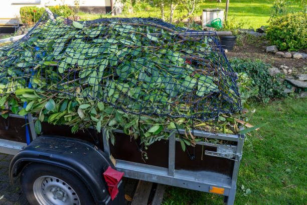 Best Moving and Downsizing Cleanouts  in Lake Arrowhead, ME